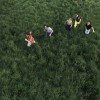 track image - Thinkaboutit