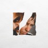 track image - It Didn't Matter