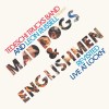 track image - The Letter (Live at LOCKN' / 2015) (feat. Susan Tedeschi)