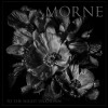 track image - Surrendering Fear