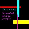 track image - Stranded in the Jungle