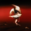 track image - Bloodsport
