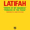 Wrath of My Madness (Vocal)