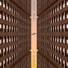 track image - Juniper