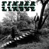 track image - Magic Arrow