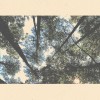 track image - Sleep Talk