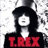 track image - Metal Guru