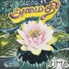 track image - Amaidhi