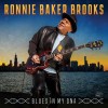 track image - Lonnie Brooks' Blessing