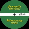 track image - Touch My soul (Whodamanny Dance Mix)