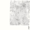 track image - Lily's Trace
