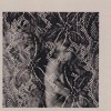 track image - Champagne & Lace