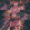 track image - Fortune Teller