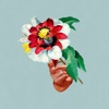 track image - Beginner's Luck