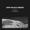 track image - Saw You In A Dream