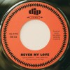track image - Never My Love