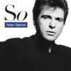 track image - That Voice Again