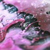 track image - The Emptiness Machine