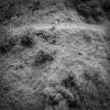 track image - Paradise