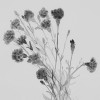 track image - Twelve