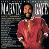 track image - Inner City Blues (Make Me Wanna Holler)