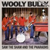 track image - Wooly Bully (Extended Remastered)