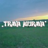 track image - Trava Murava