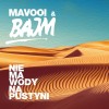 track image - Nie ma wody na pustyni
