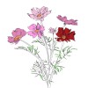 track image - Dig