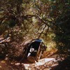 track image - Alive
