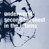 track image - Confusion The Waitress (Remastered)