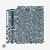 track image - Disappear (feat. Lyra Pramuk)