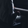 track image - Idea 22