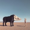 track image - Future Peg
