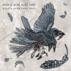 track image - Echoes