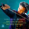 track image - Elgar: Cello Concerto in E Minor, Op. 85: I. Adagio - Moderato