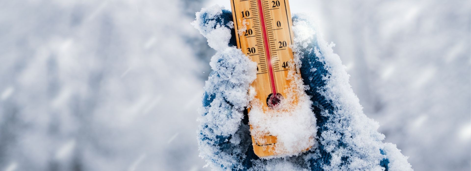 Rekordowe mrozy. Jak chronić najbardziej narażonych?