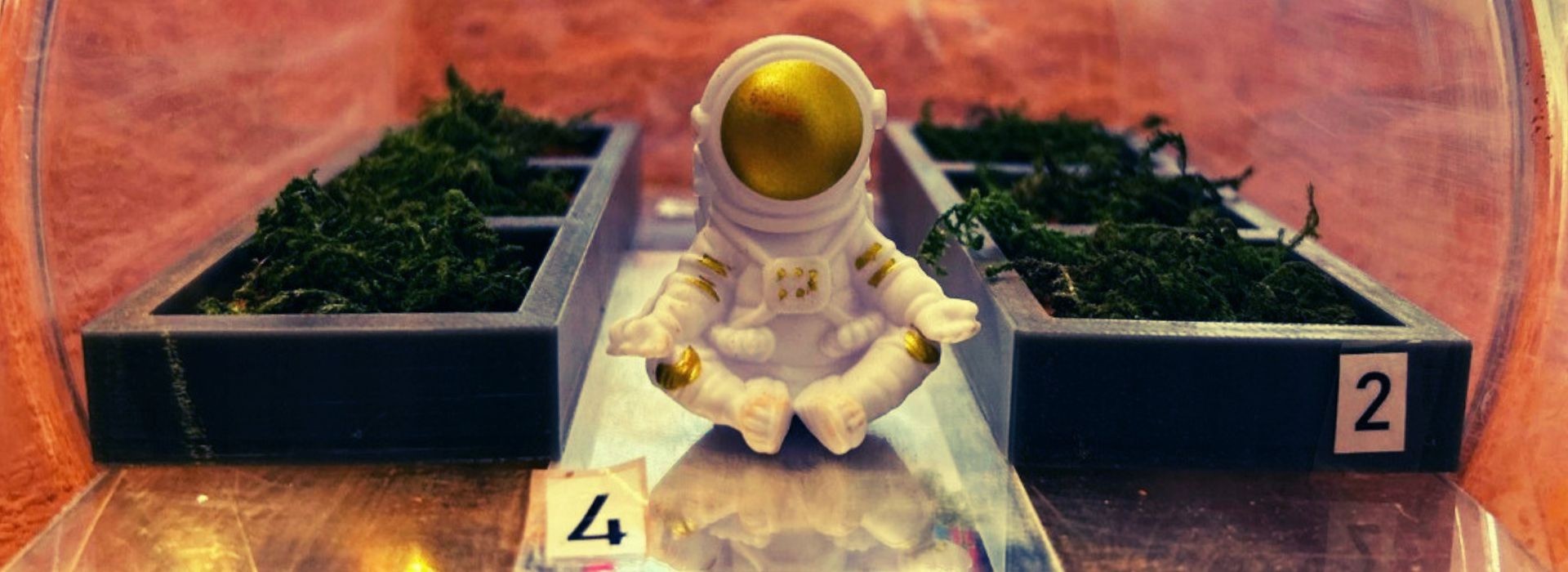 eSpace GreenHab. Innowacyjny projekt studentów Politechniki Lubelskiej