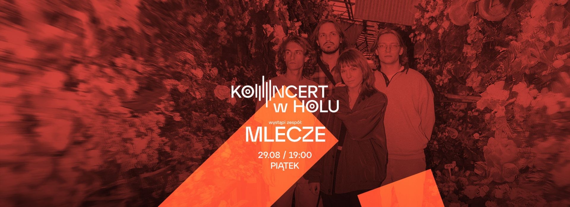 KONCERT W HOLU: Zespół Mlecze