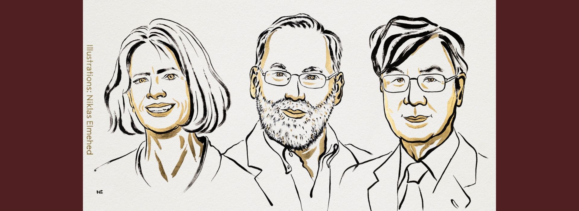 Nobel 2025 w dziedzinie medycyny przyznany trójce naukowców