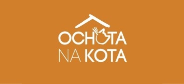 Ochota na Kota. 6. urodziny punktu adopcyjno-informacyjnego Schroniska na Paluchu