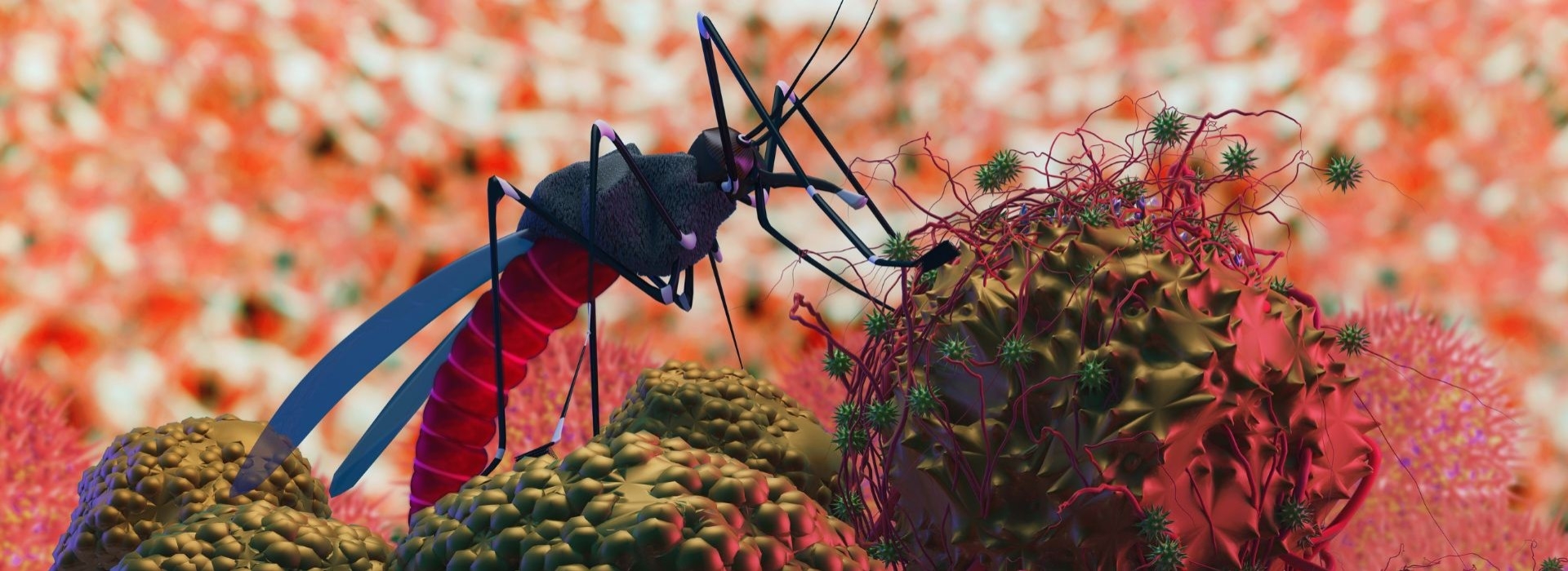 Jak zmiany klimatu wpływają na świat owadów?