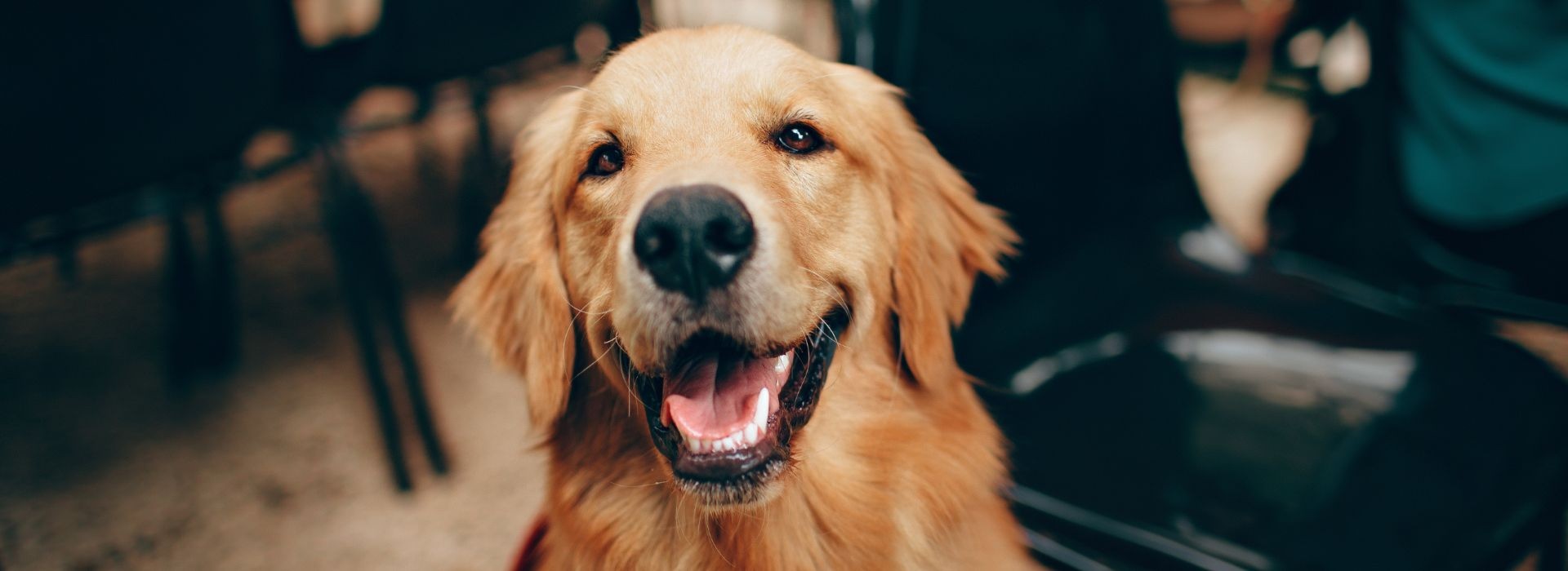 „Sezon na kleszcze” trwa w zasadzie cały rok
