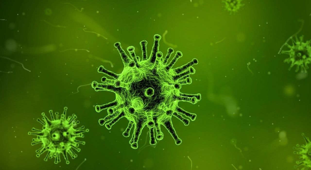 Inne choroby zakaźne w czasie pandemii koronawirusa