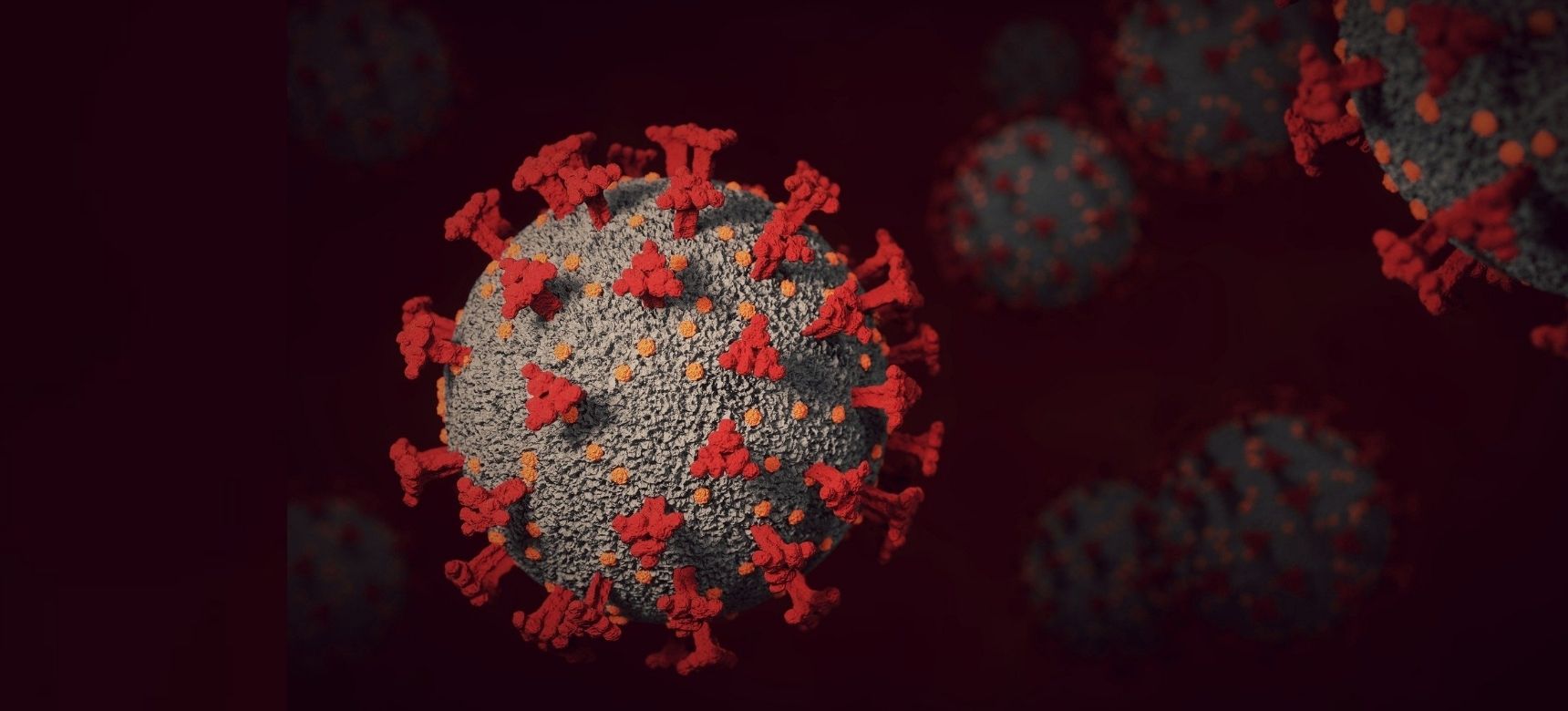 Koniec pandemii w Polsce? Rozmowa z dr. Pawłem Grzesiowskim