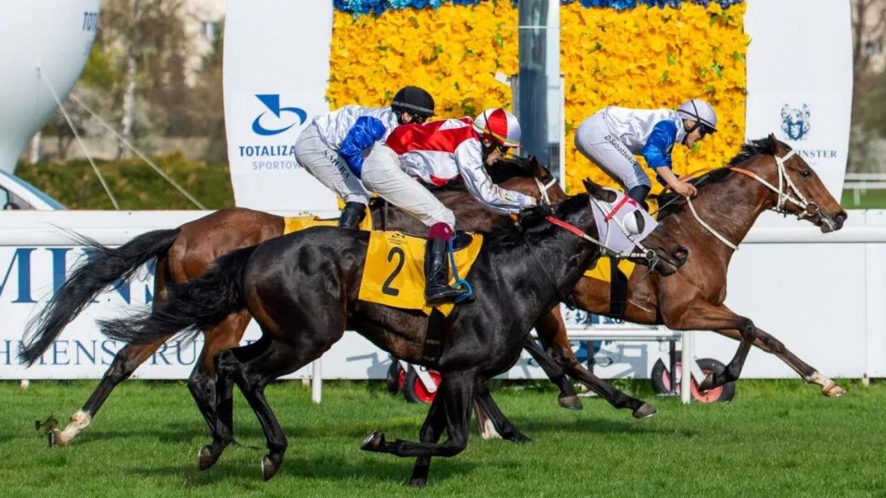 Ruszył 78. sezon na Torze Wyścigów Konnych Służewiec